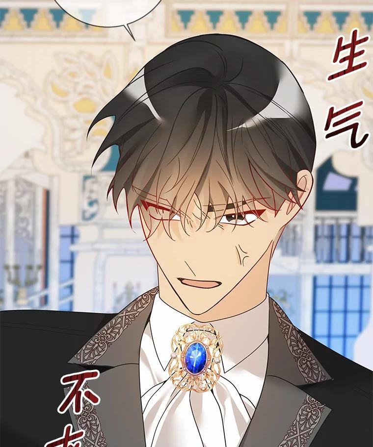 《龙套大公子妃的花路人生》43.皇帝驾崩 第132页