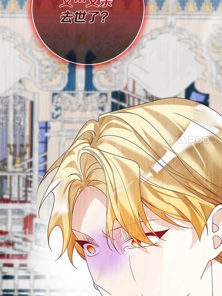 《龙套大公子妃的花路人生》43.皇帝驾崩 第110页