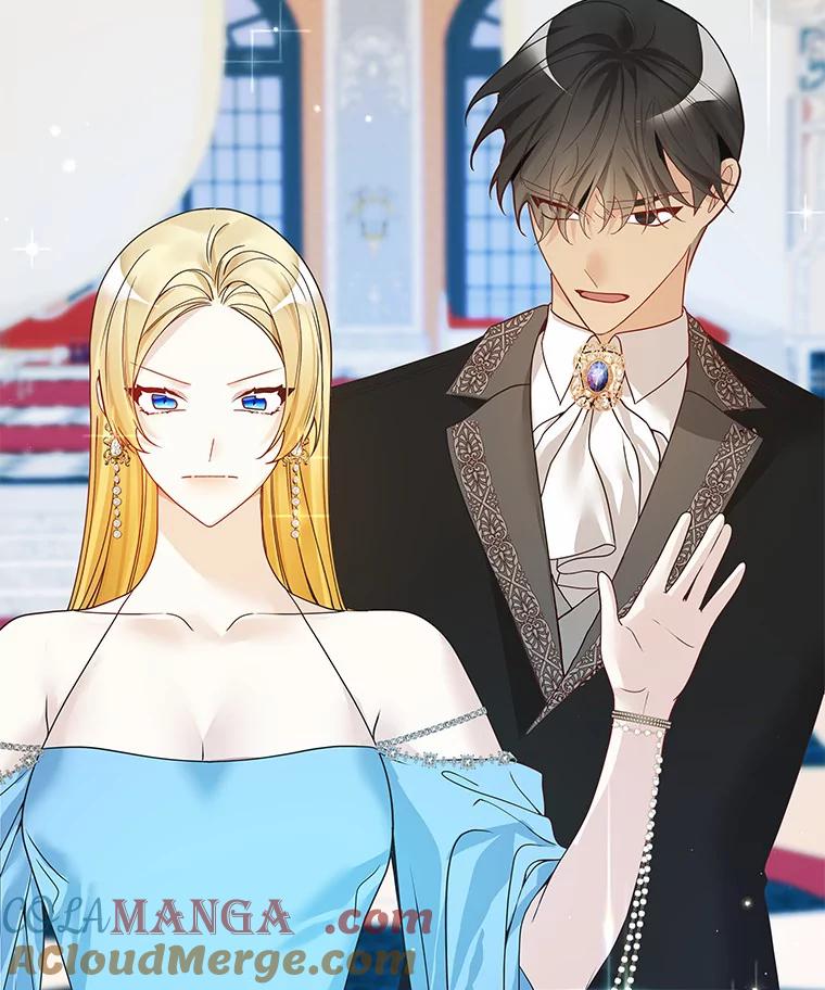 《龙套大公子妃的花路人生》43.皇帝驾崩 第121页
