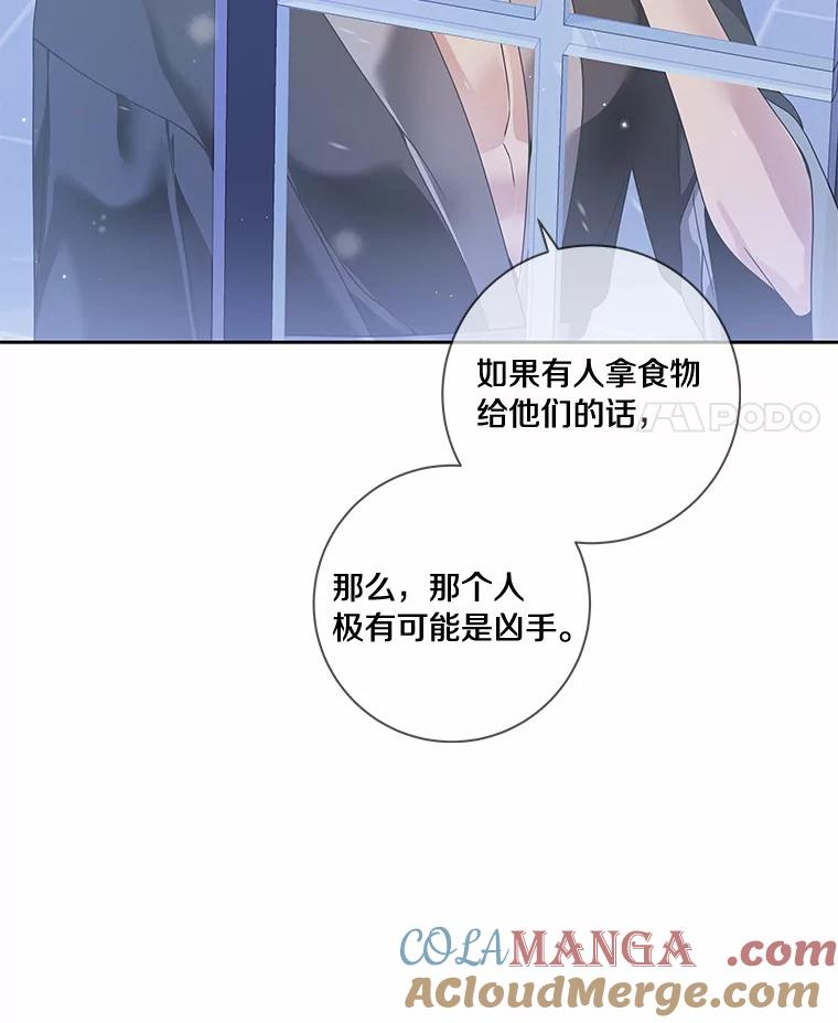 《龙套大公子妃的花路人生》45.魔力石 第117页