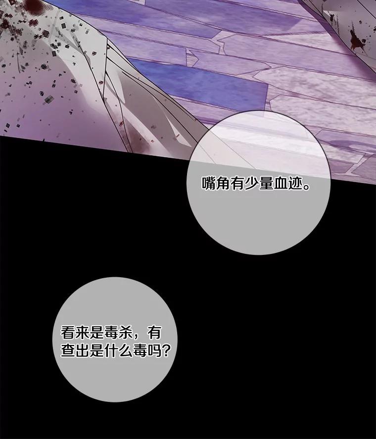 《龙套大公子妃的花路人生》45.魔力石 第111页