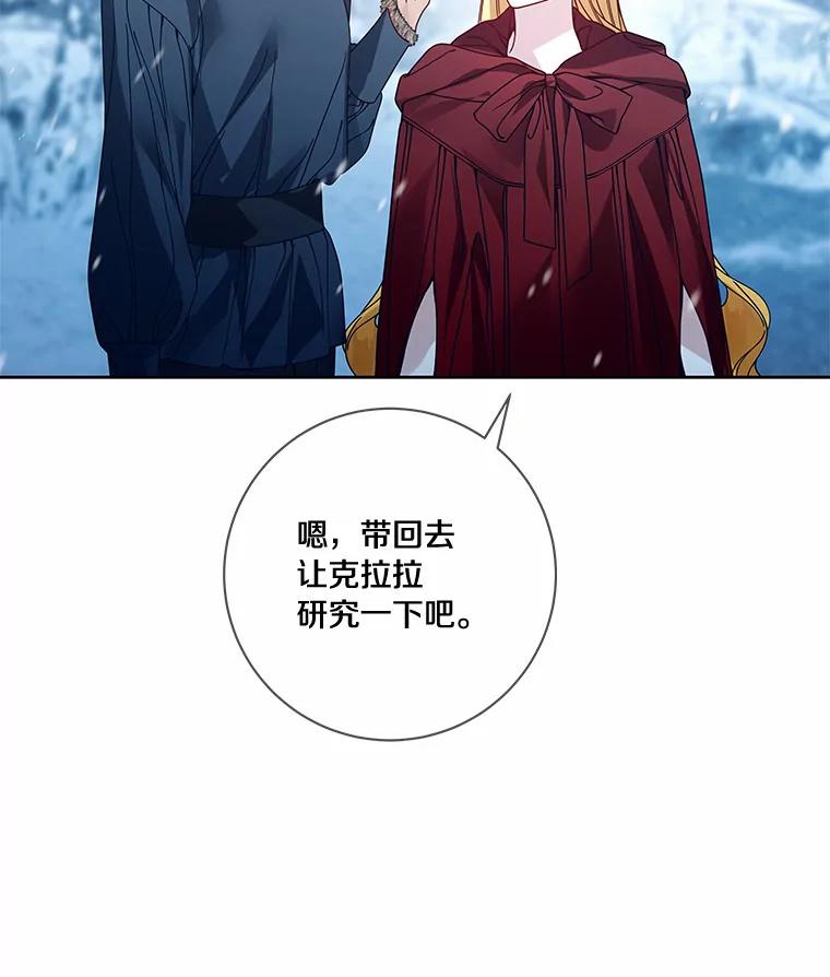 《龙套大公子妃的花路人生》45.魔力石 第31页