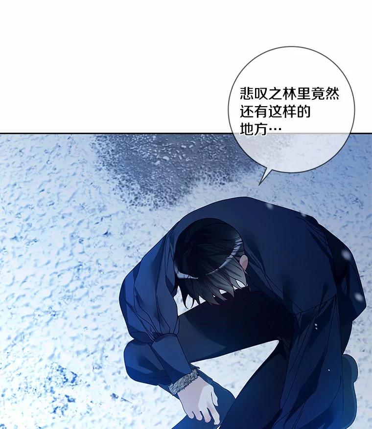 《龙套大公子妃的花路人生》45.魔力石 第7页