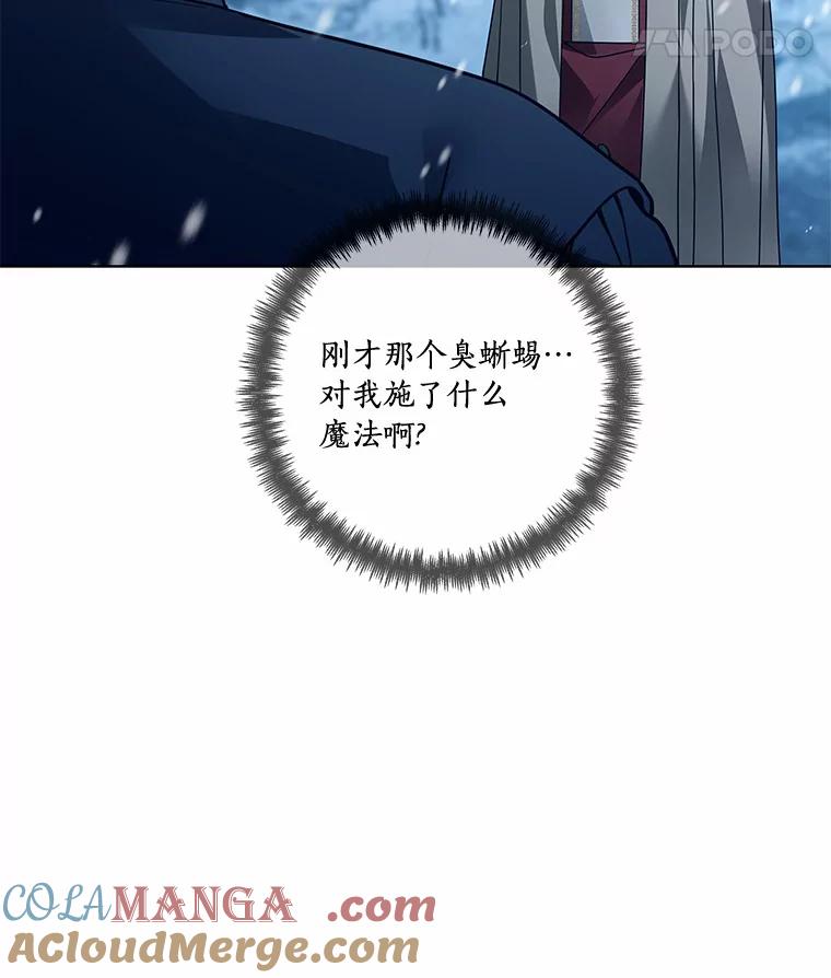《龙套大公子妃的花路人生》45.魔力石 第29页