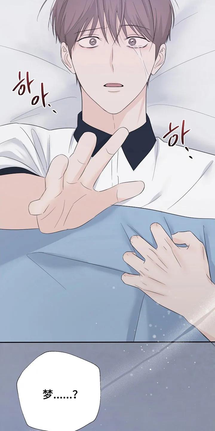 《刻意接近》第103章：是梦 第12页