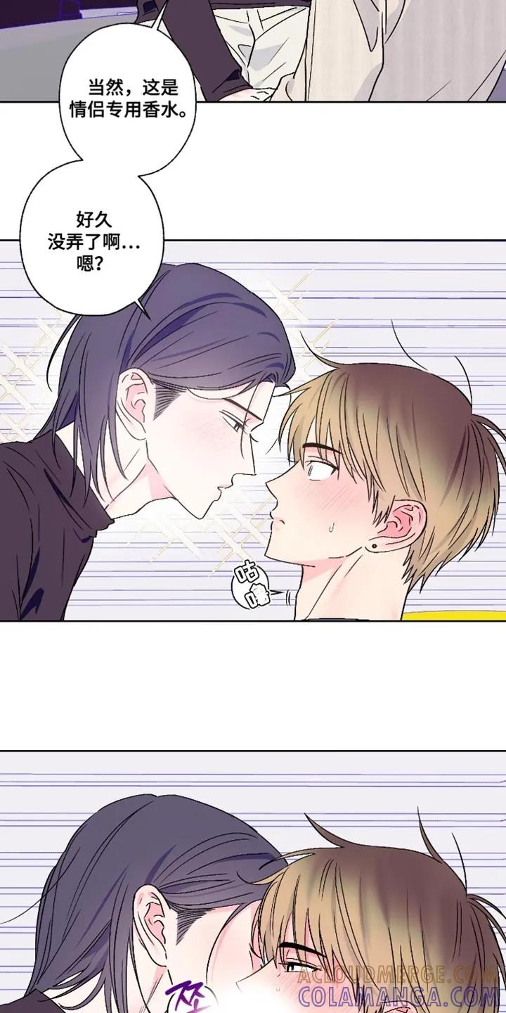 《倒霉经纪人》第89章：【第二季】信息素香水 第11页