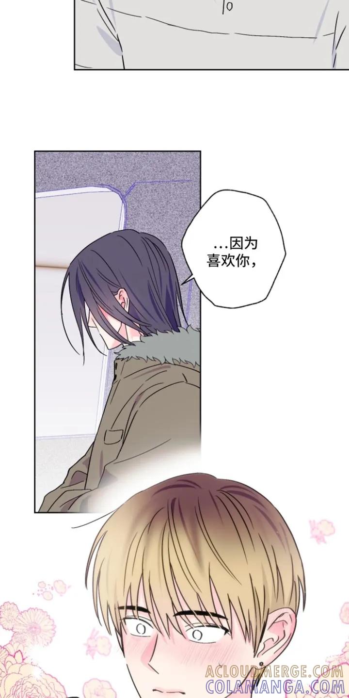 《倒霉经纪人》第97章：【第二季】因为喜欢你 第12页