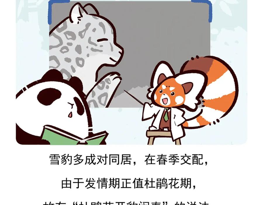 《胖达x胖达》第97话 第20页