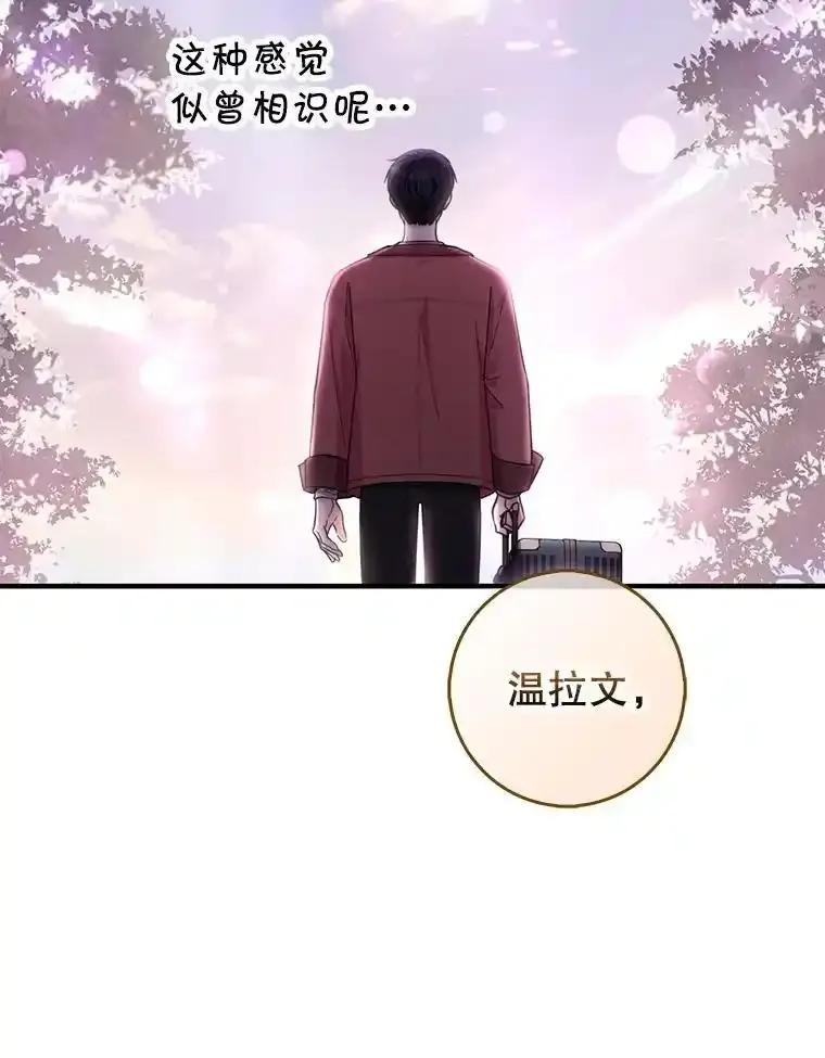 《天生爱豆的娱乐圈攻略法则》38.燃烧系统 第47页