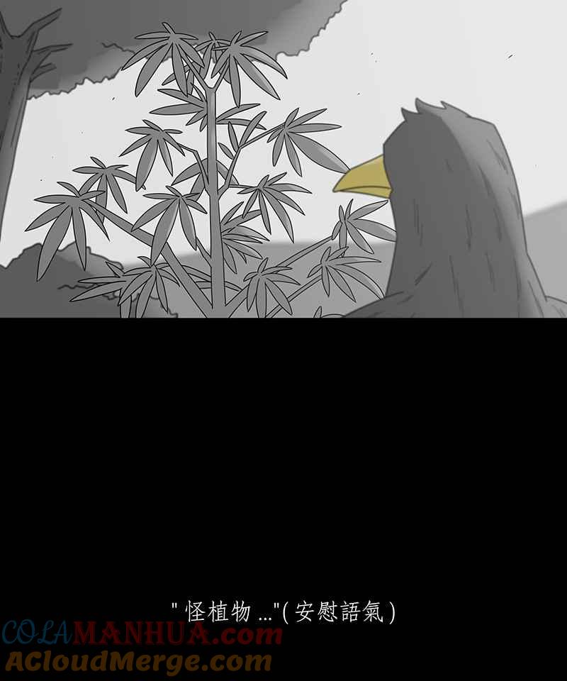黑盒子 [第205话] 孤芳(2) 第32页