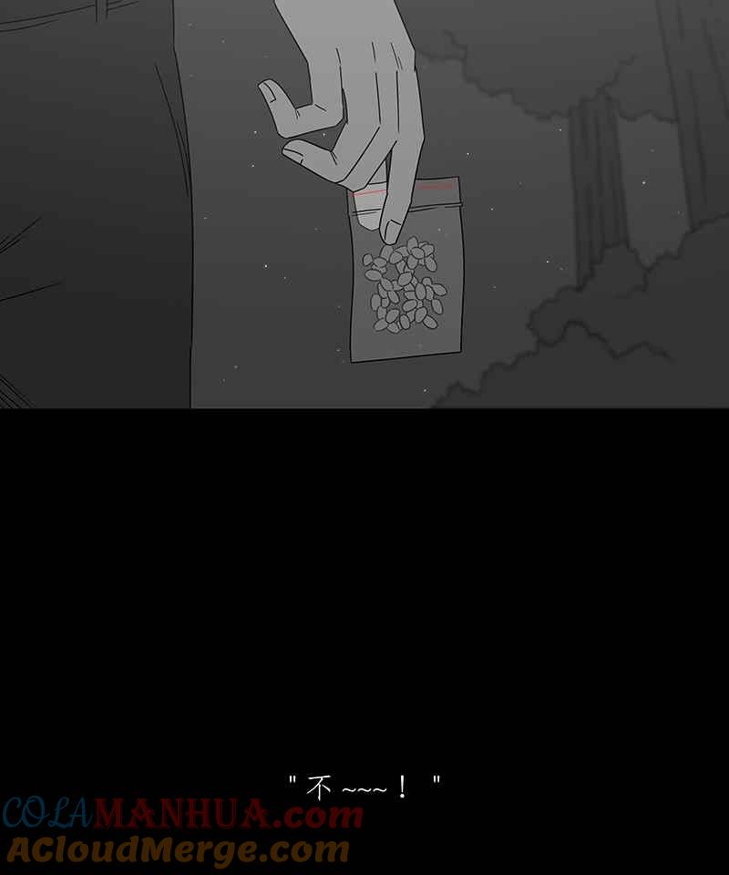 黑盒子 [第205话] 孤芳(2) 第28页
