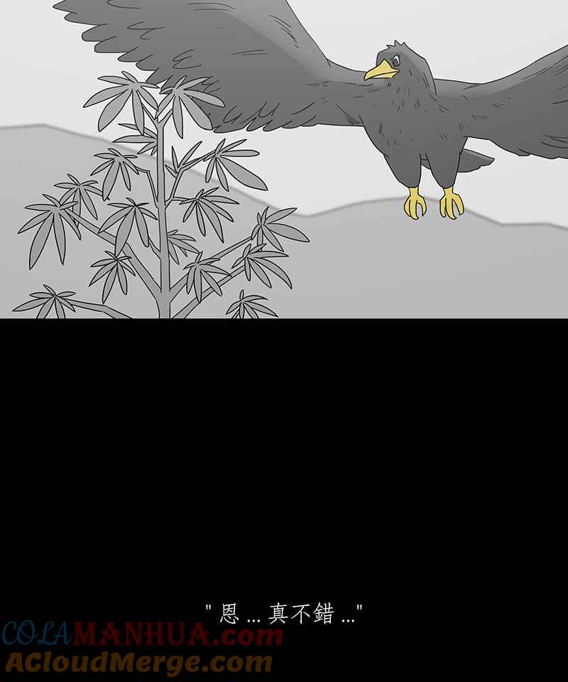 黑盒子 [第205话] 孤芳(2) 第8页