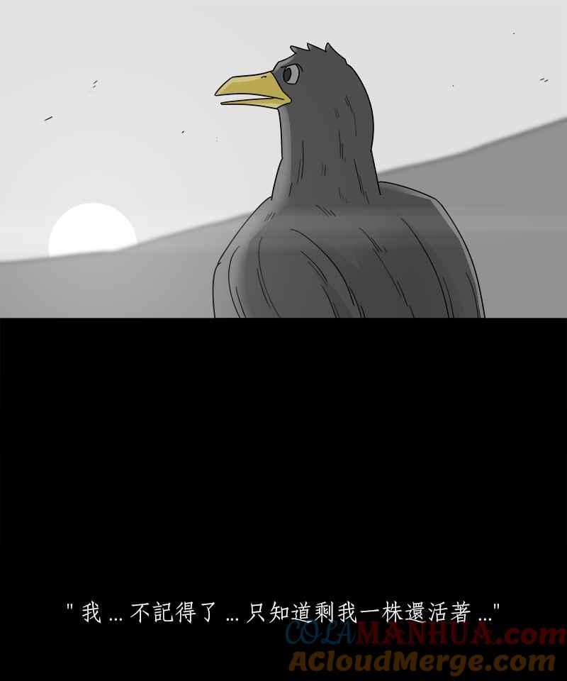黑盒子 [第205话] 孤芳(2) 第16页