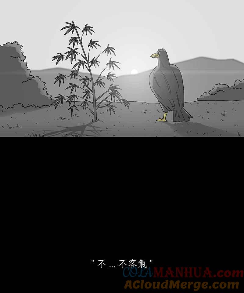 黑盒子 [第205话] 孤芳(2) 第14页