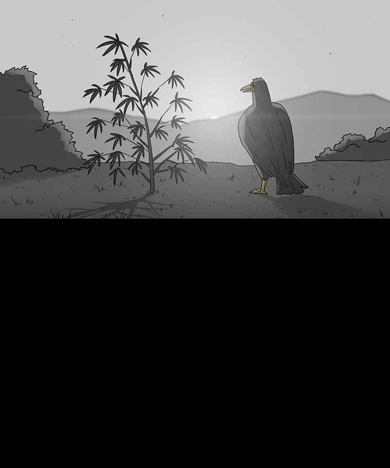 黑盒子 [第205话] 孤芳(2) 第37页