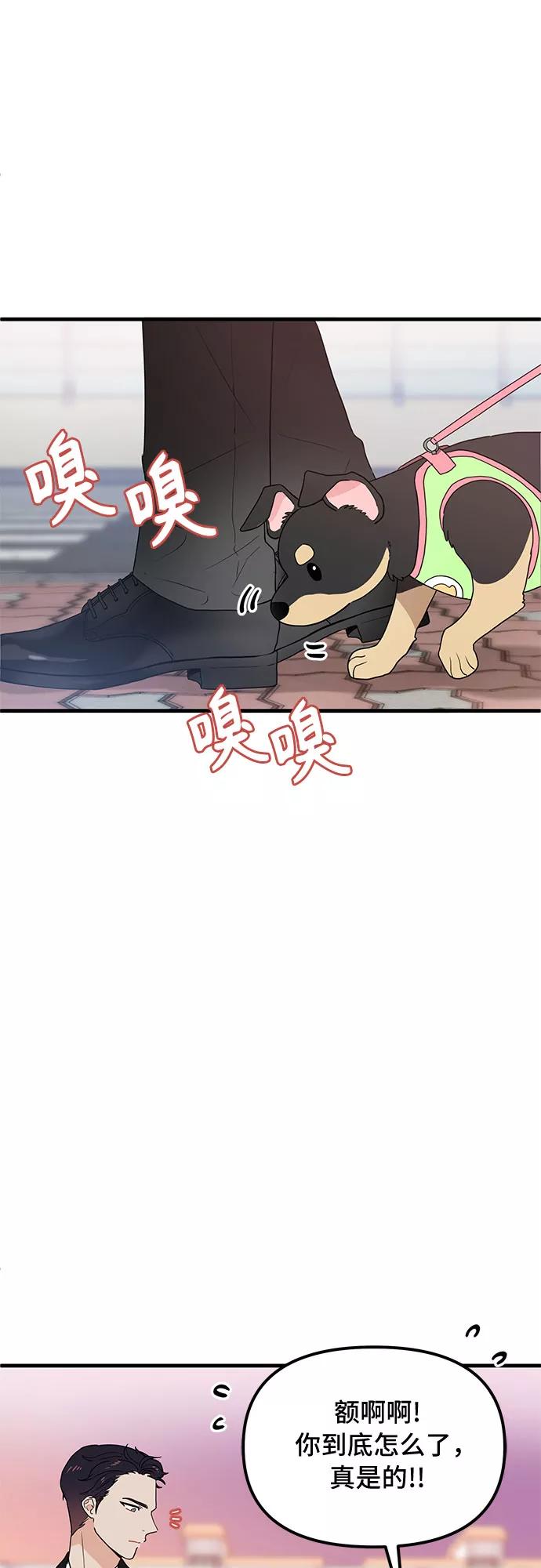 《守护骑士大人》第27话 第23页