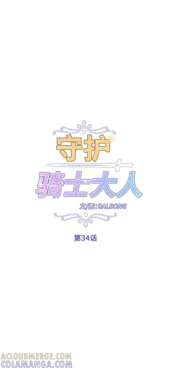 《守护骑士大人》第34话 第13页