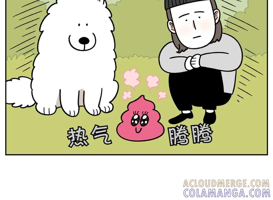 《我的狗子叫棉花》第32话 没有捡屎袋 第19页