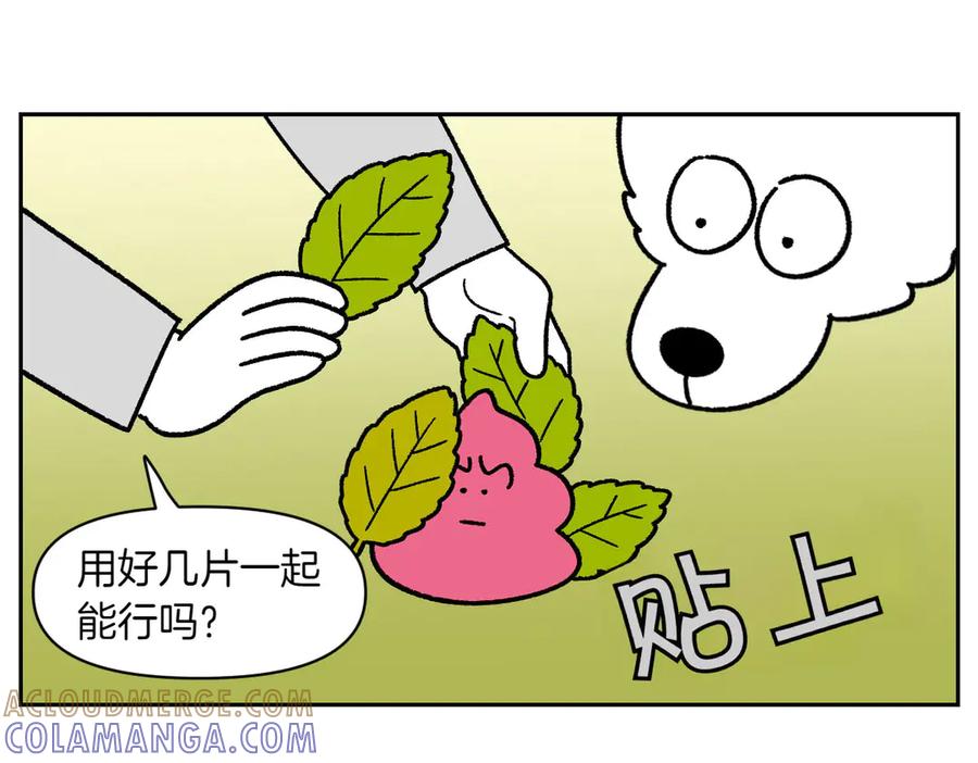 《我的狗子叫棉花》第32话 没有捡屎袋 第40页