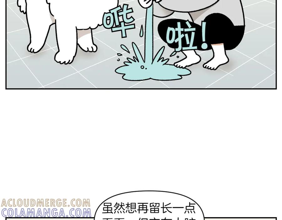《我的狗子叫棉花》第33话 超级大脚 第40页