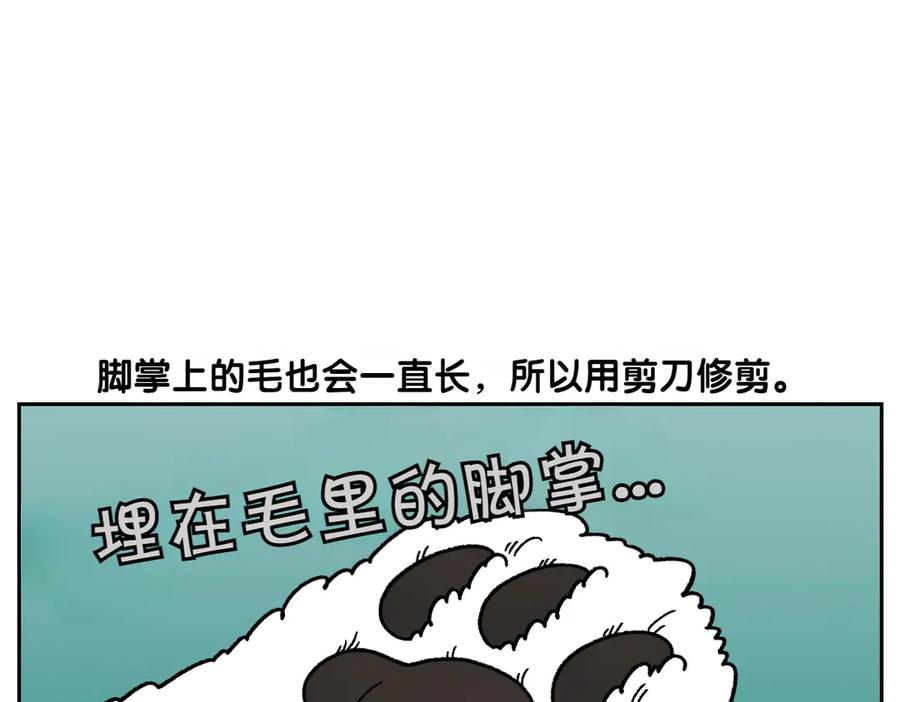 《我的狗子叫棉花》第33话 超级大脚 第23页