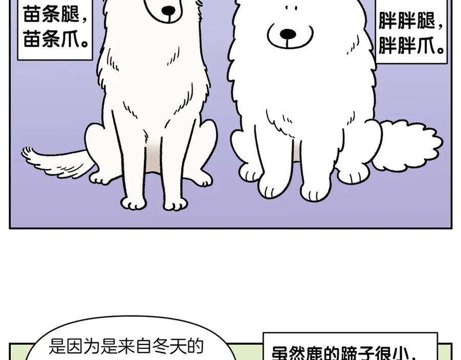 《我的狗子叫棉花》第33话 超级大脚 第18页