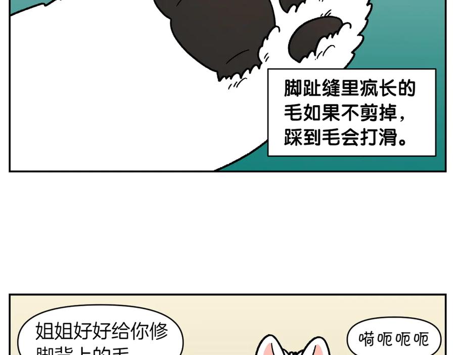 《我的狗子叫棉花》第33话 超级大脚 第24页