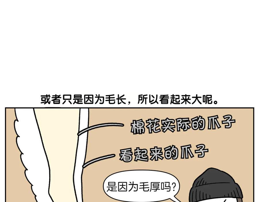 《我的狗子叫棉花》第33话 超级大脚 第20页