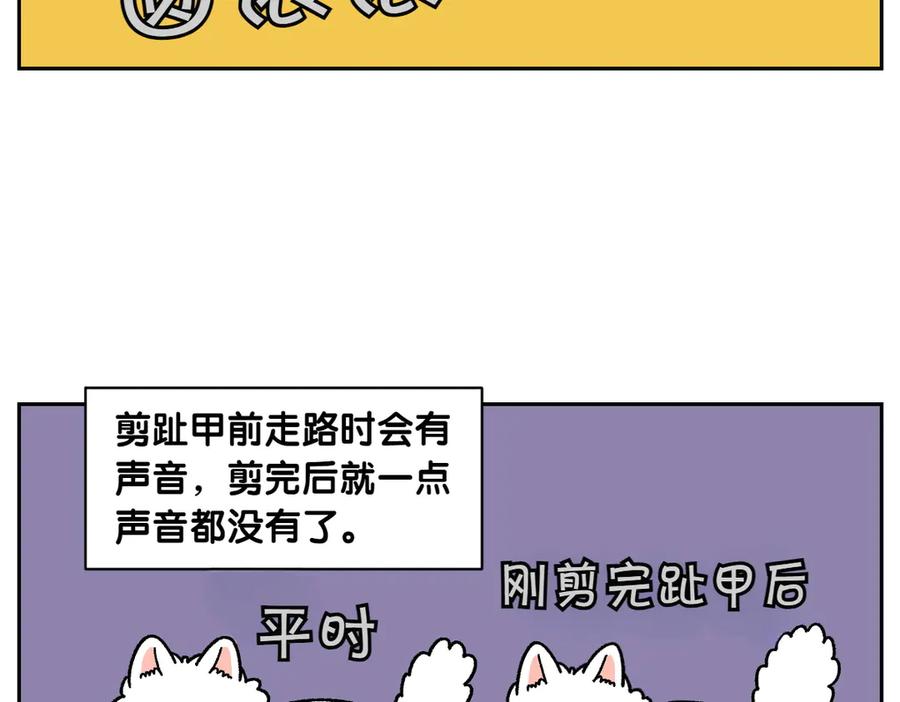 《我的狗子叫棉花》第33话 超级大脚 第27页