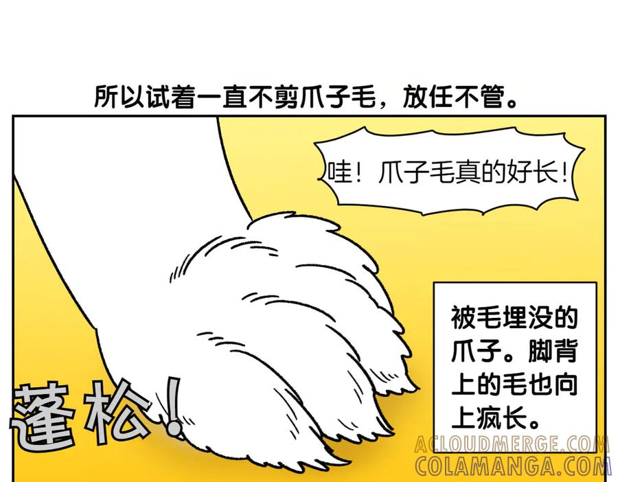《我的狗子叫棉花》第33话 超级大脚 第34页