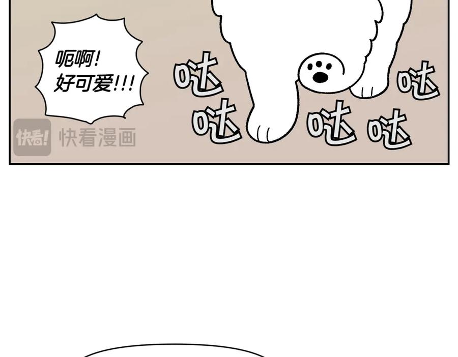 《我的狗子叫棉花》第33话 超级大脚 第15页