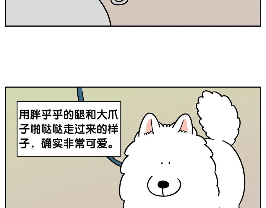 《我的狗子叫棉花》第33话 超级大脚 第14页