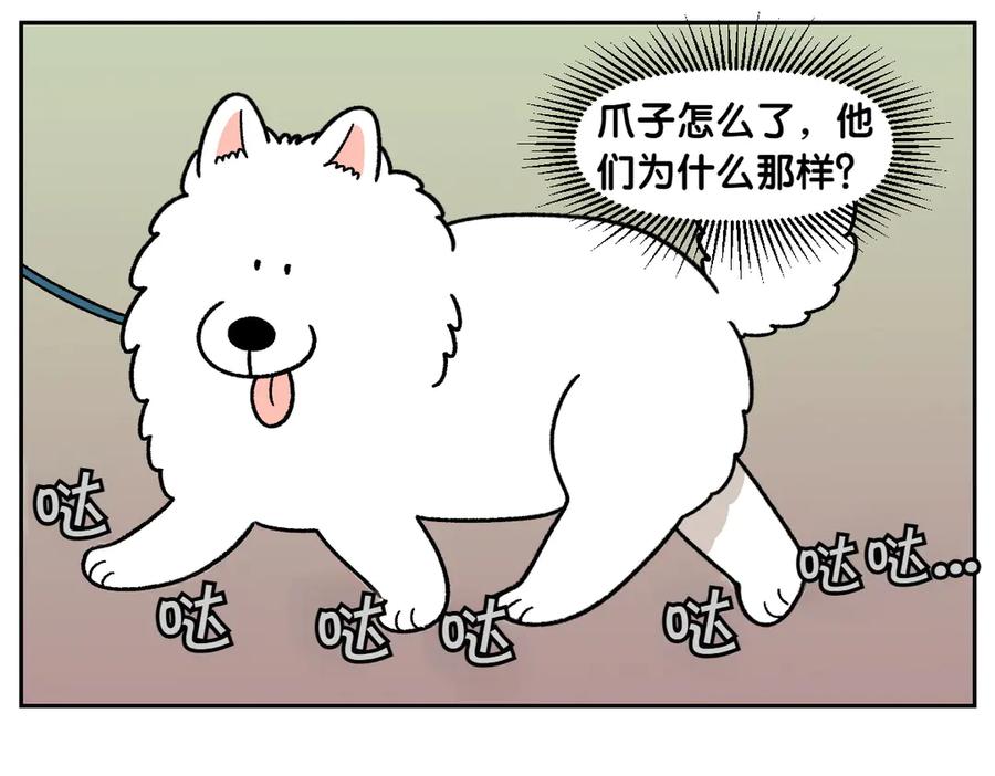 《我的狗子叫棉花》第33话 超级大脚 第9页