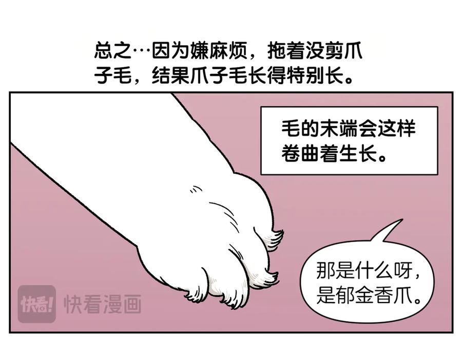 《我的狗子叫棉花》第33话 超级大脚 第30页