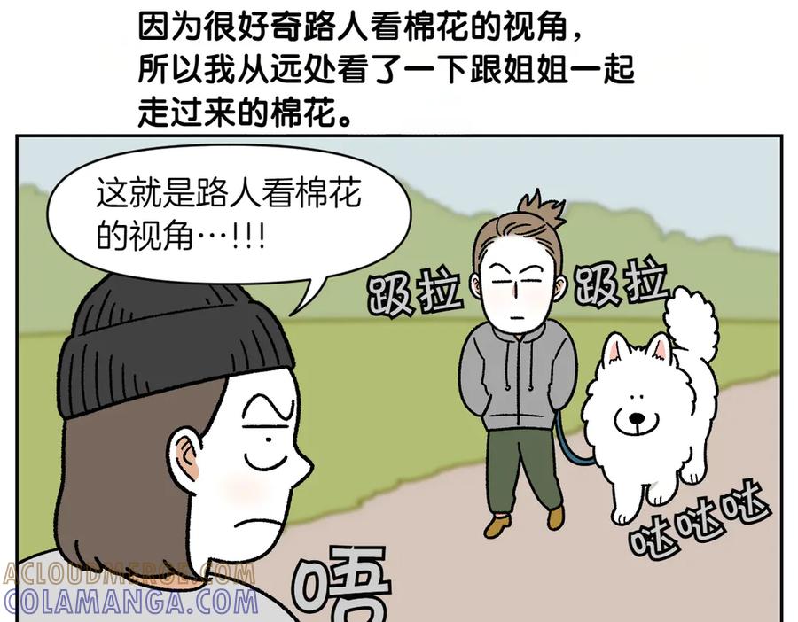 《我的狗子叫棉花》第33话 超级大脚 第13页