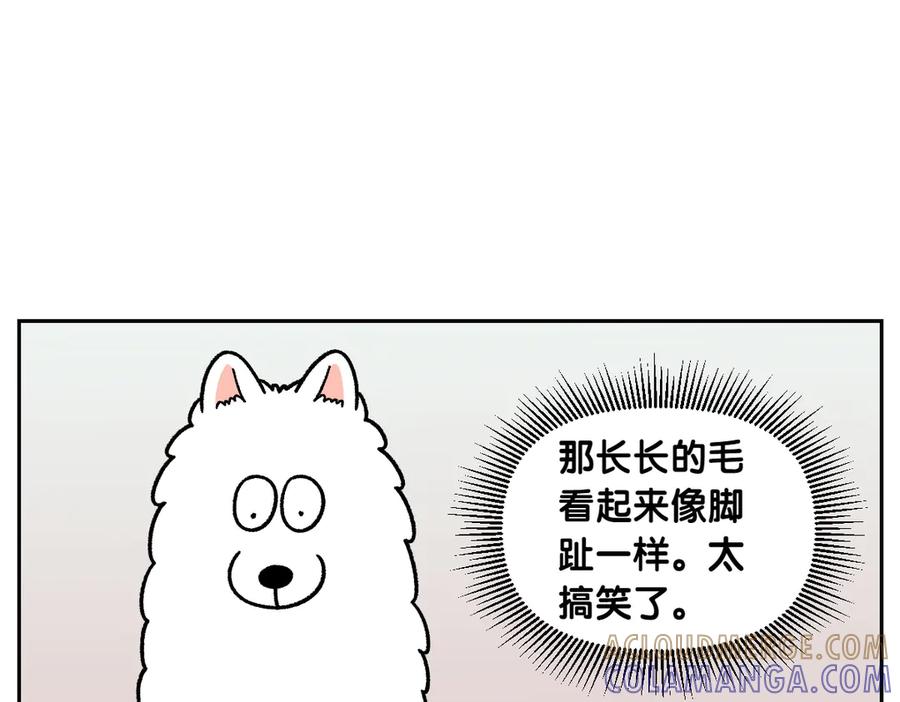 《我的狗子叫棉花》第33话 超级大脚 第31页