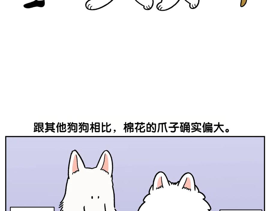 《我的狗子叫棉花》第33话 超级大脚 第17页
