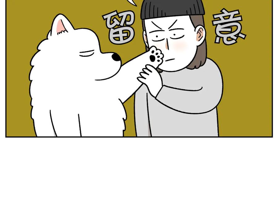 《我的狗子叫棉花》第33话 超级大脚 第12页