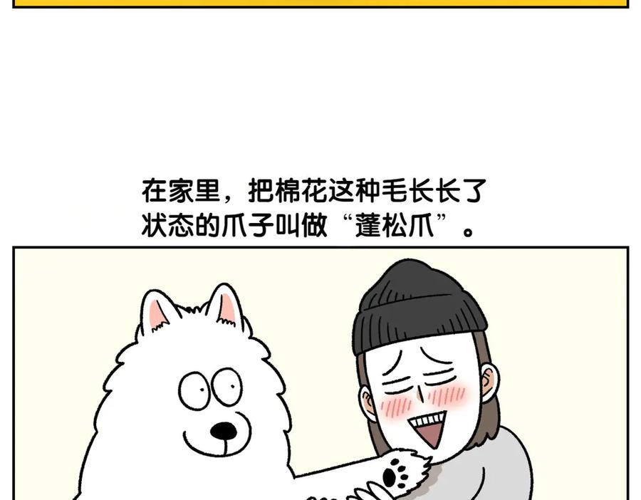 《我的狗子叫棉花》第33话 超级大脚 第35页