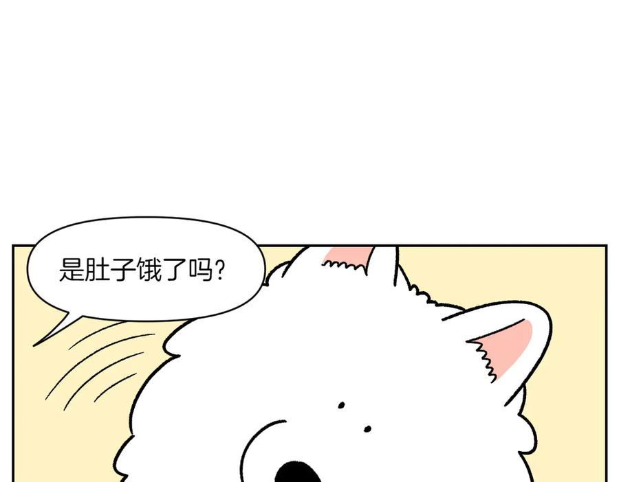 《我的狗子叫棉花》第34话 做棉花的饭 第9页