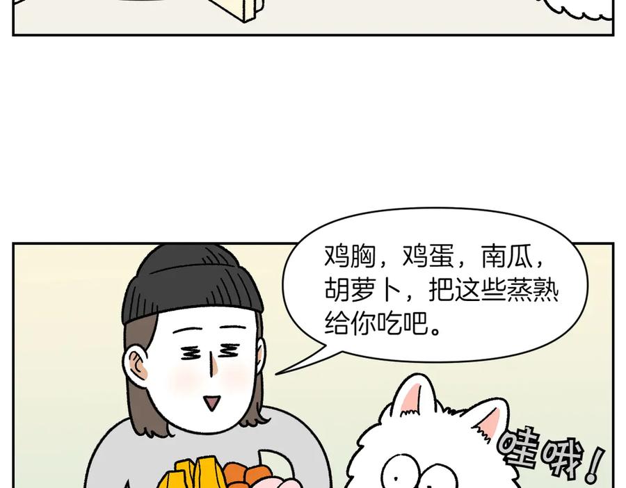 《我的狗子叫棉花》第34话 做棉花的饭 第29页