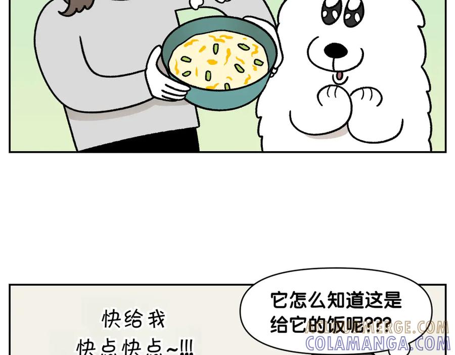 《我的狗子叫棉花》第34话 做棉花的饭 第37页