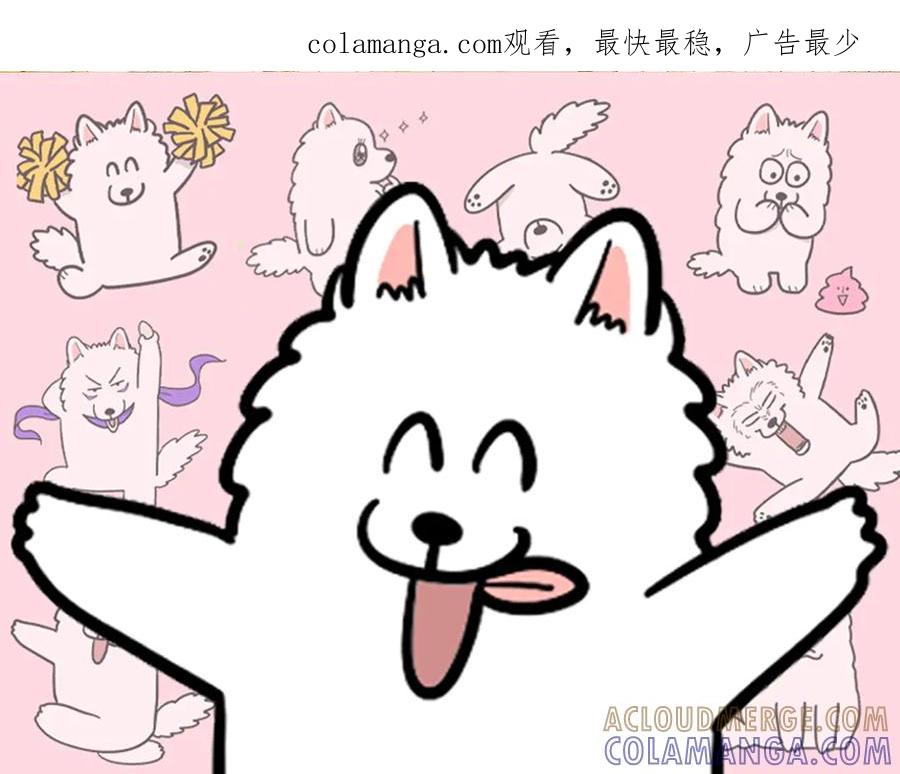 《我的狗子叫棉花》第34话 做棉花的饭 第1页
