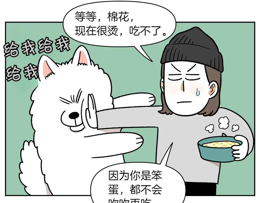 《我的狗子叫棉花》第34话 做棉花的饭 第39页