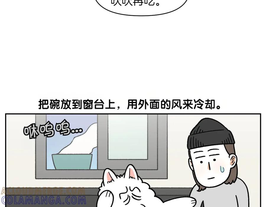 《我的狗子叫棉花》第34话 做棉花的饭 第40页
