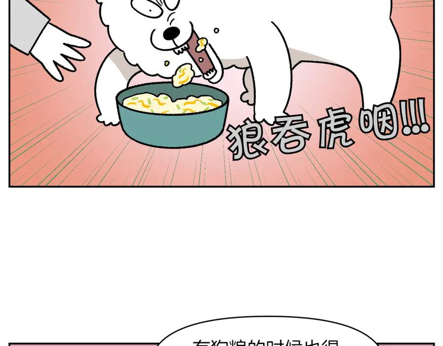 《我的狗子叫棉花》第34话 做棉花的饭 第45页