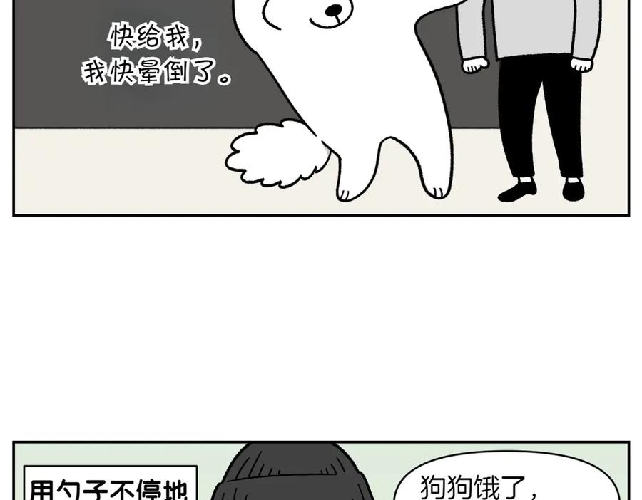 《我的狗子叫棉花》第34话 做棉花的饭 第41页