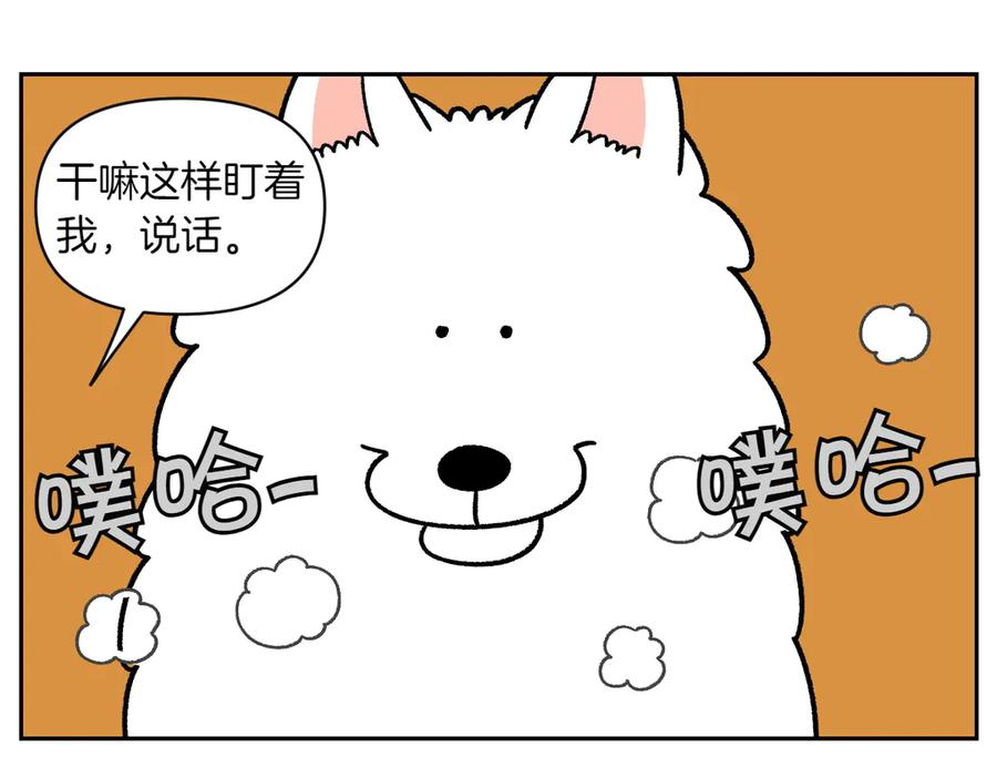 《我的狗子叫棉花》第34话 做棉花的饭 第8页