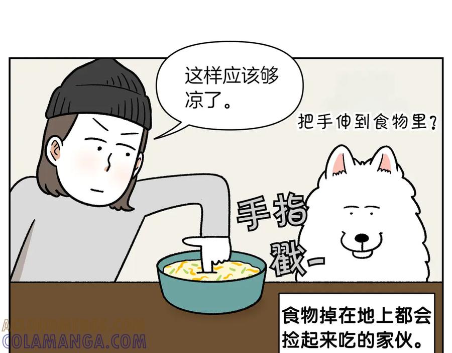 《我的狗子叫棉花》第34话 做棉花的饭 第43页
