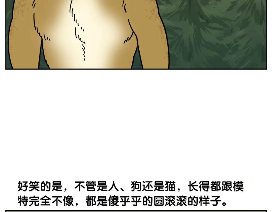 《我的狗子叫棉花》第35话 永远肚子饿的狗 第45页